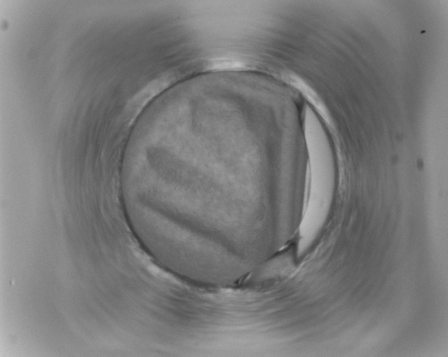 X0000070340385200607072018