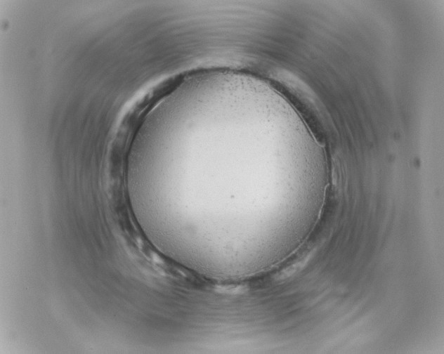 X0000070340388200607072018