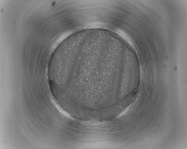 X0000070340389200607072018