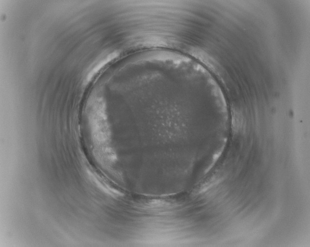 X0000070340390200607072018