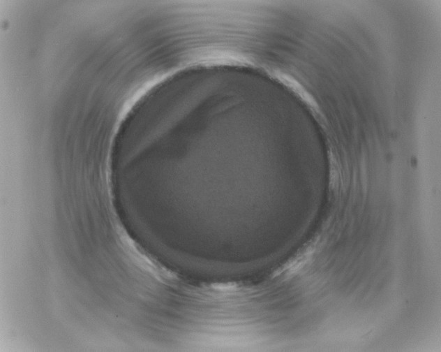 X0000070340391200607072018