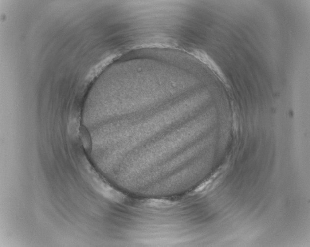 X0000070340393200607072018