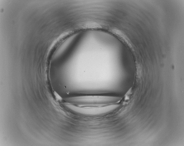 X0000070340395200607072018