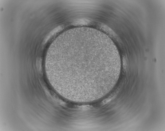 X0000070340396200607072018