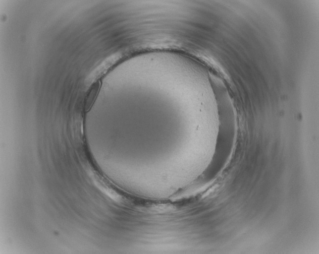 X0000070340397200607072018