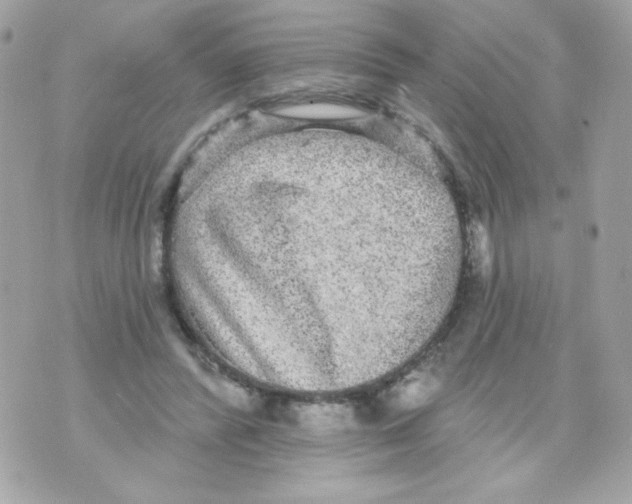 X0000070340400200607072018