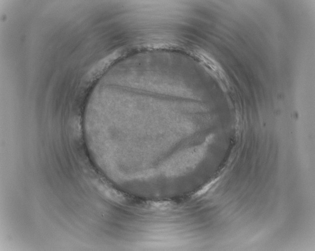 X0000070340401200607072018