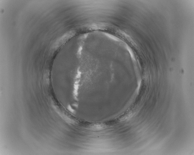 X0000070340402200607072018