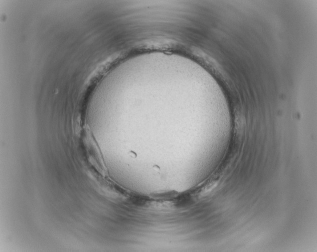 X0000070340403200607072018