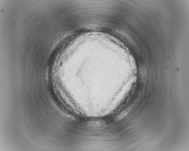 X0000070340404200607072018