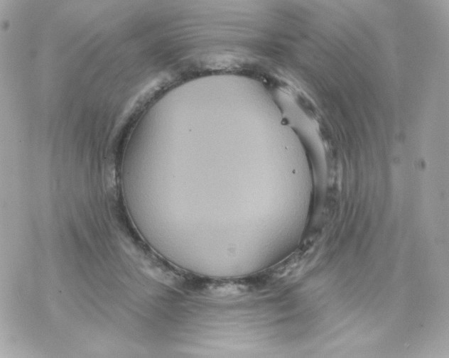 X0000070340407200607072018