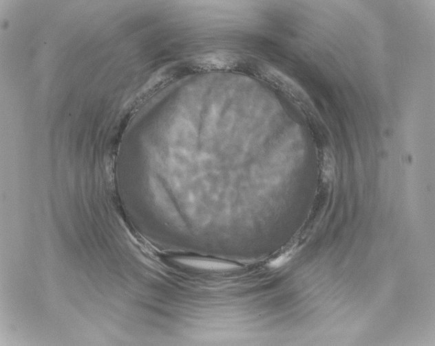 X0000070340409200607072018