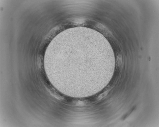 X0000070340412200607072018