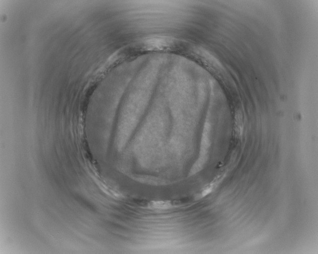 X0000070340413200607072018