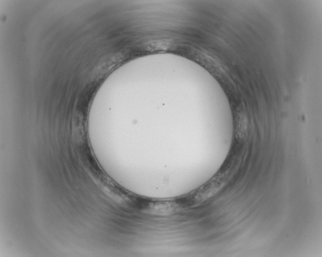 X0000070340414200607072018