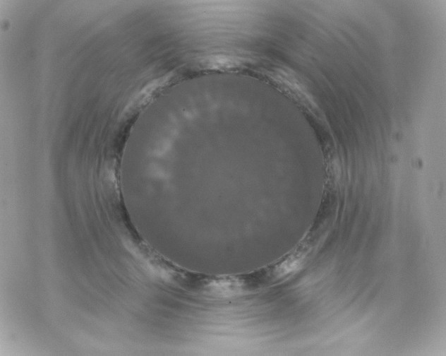 X0000070340415200607072018