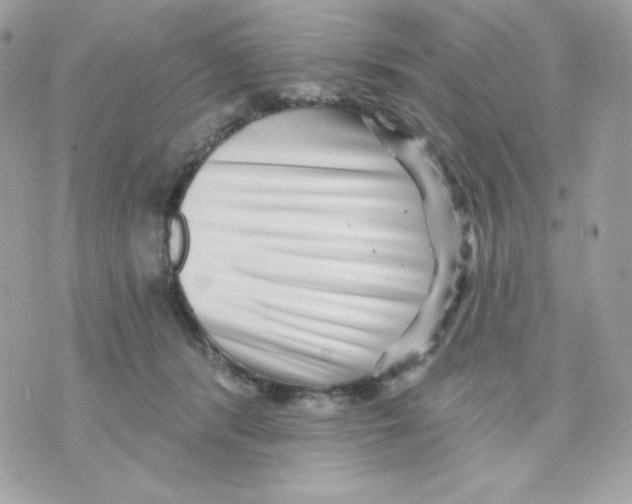 X0000070340416200607072018