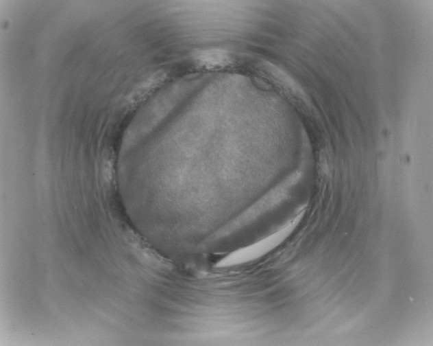 X0000070340417200607072018