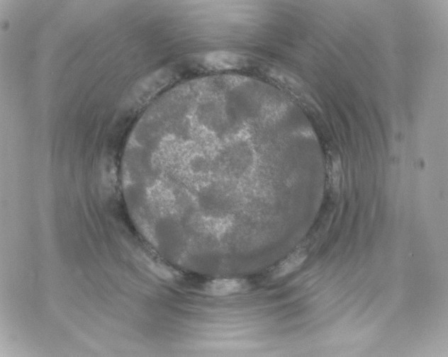 X0000070340418200607072018