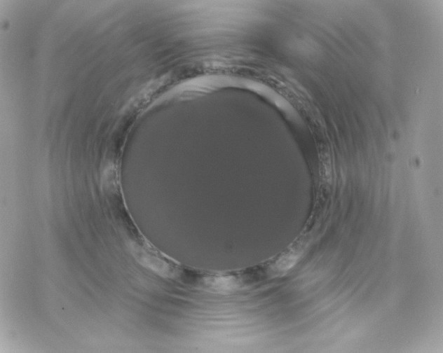 X0000070340419200607072018