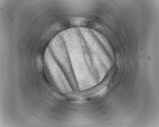 X0000070340420200607072018