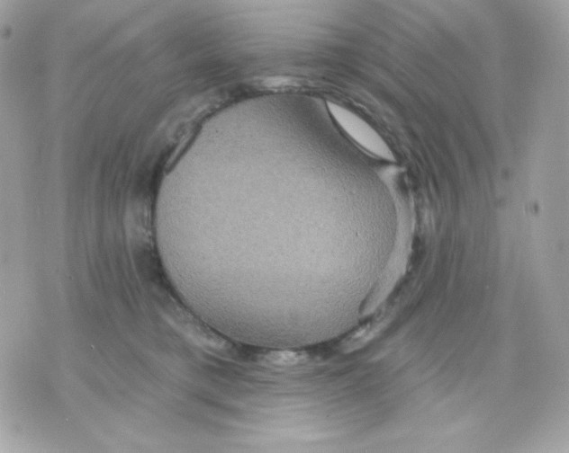 X0000070340421200607072018