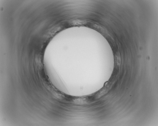 X0000070340422200607072018