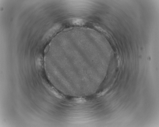 X0000070340424200607072018