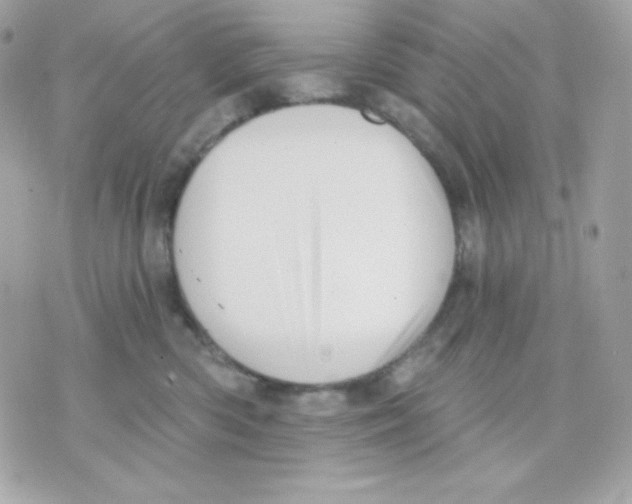 X0000070340426200607072018