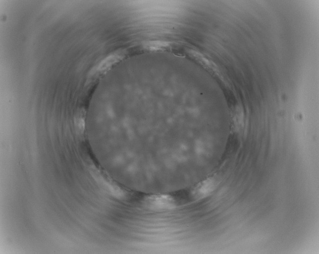 X0000070340427200607072018