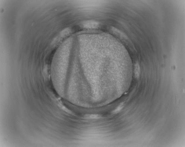 X0000070340428200607072018