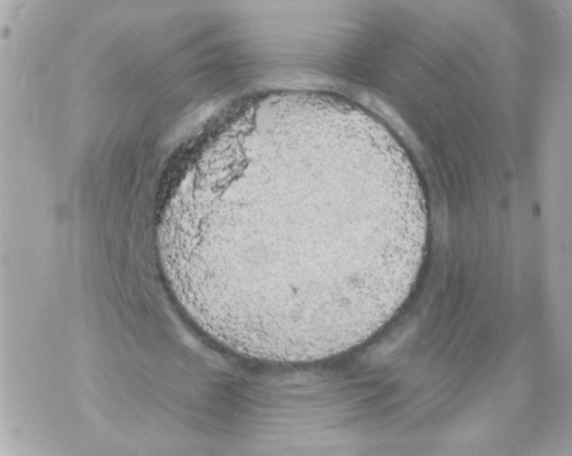 X0000070340433200607072017