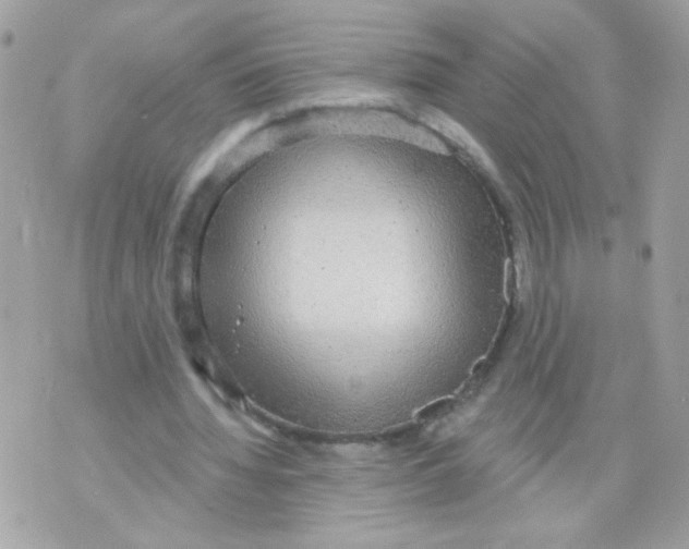 X0000070340436200607072017