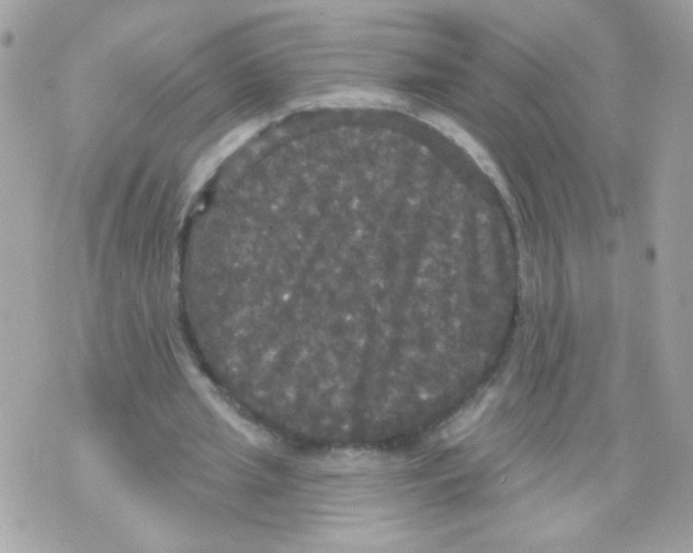 X0000070340437200607072017