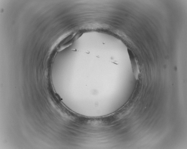 X0000070340440200607072017