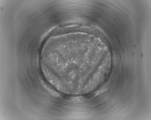 X0000070340446200607072017