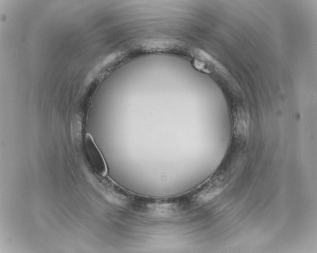 X0000070340448200607072017