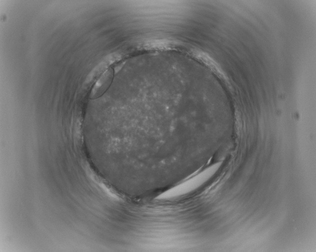 X0000070340449200607072017