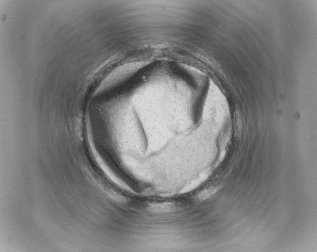 X0000070340450200607072017