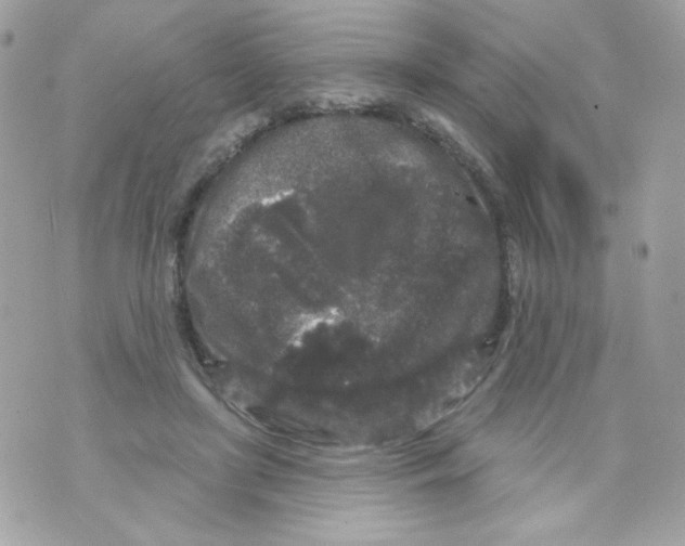 X0000070340451200607072017