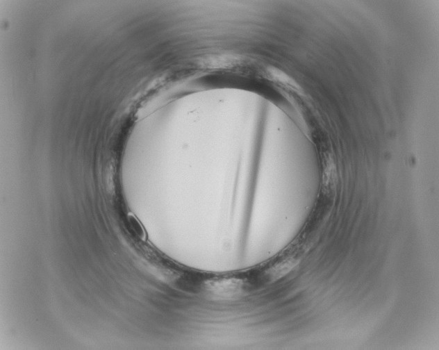 X0000070340452200607072017