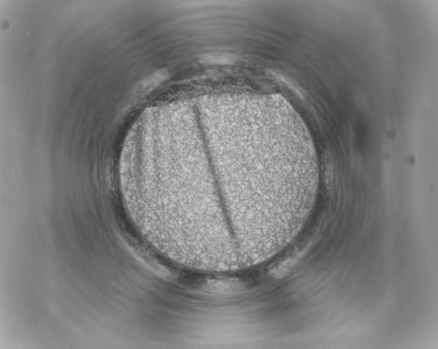 X0000070340455200607072017