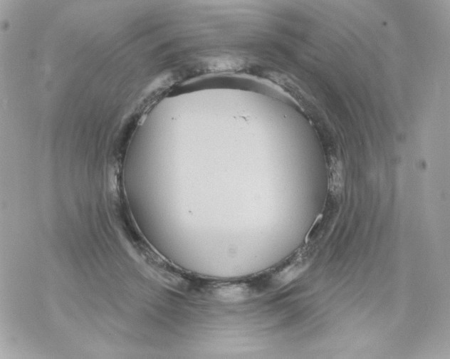 X0000070340456200607072017