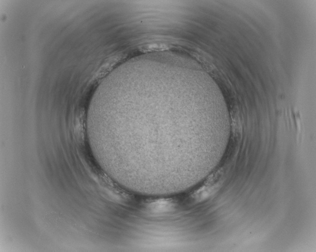 X0000070340460200607072017