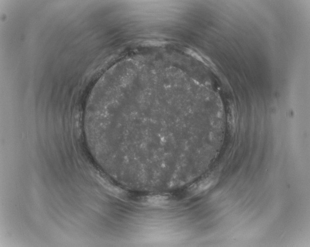 X0000070340462200607072017