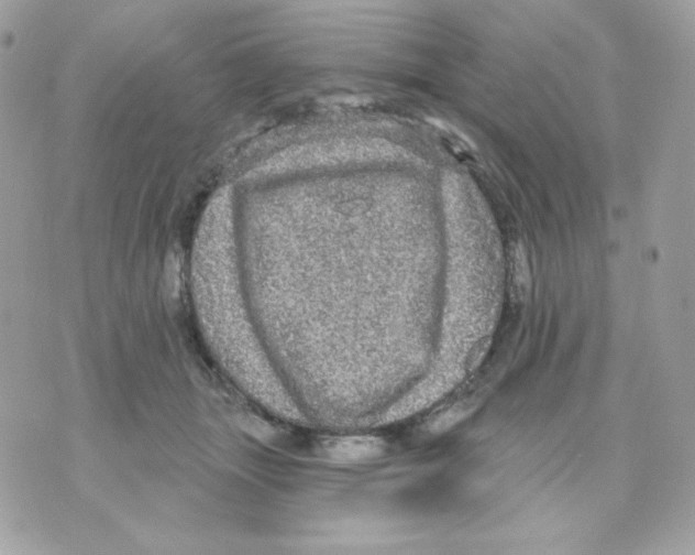 X0000070340463200607072017