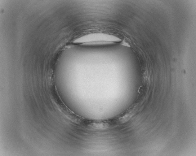 X0000070340464200607072017