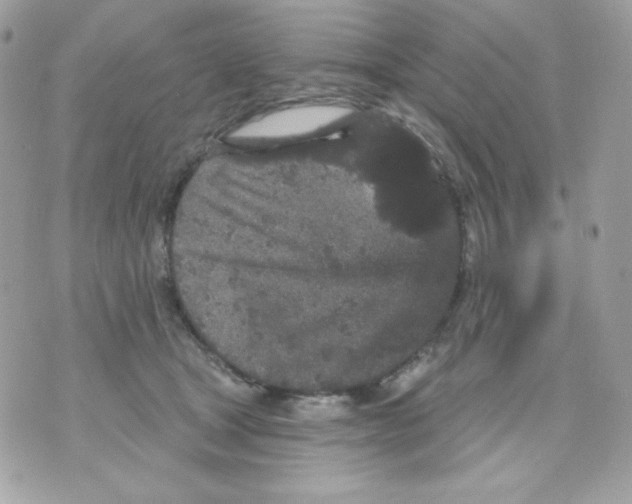 X0000070340465200607072017