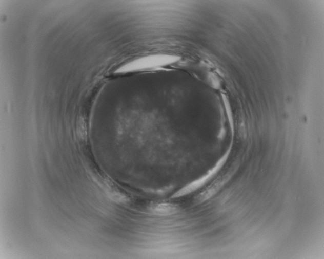 X0000070340467200607072017