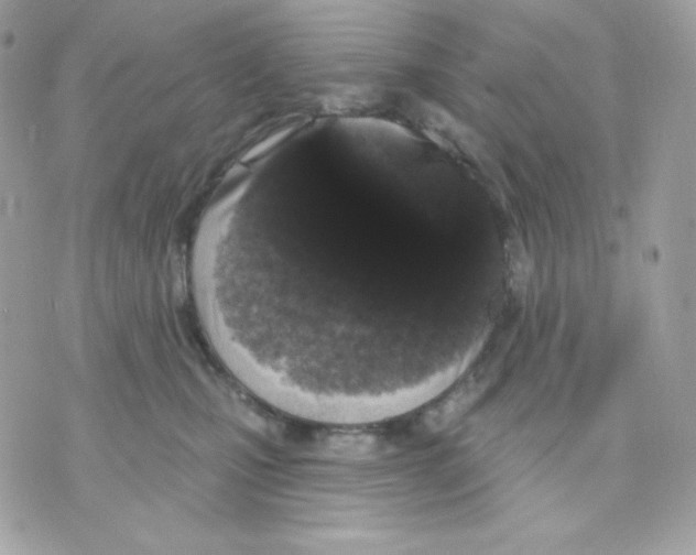 X0000070340471200607072017